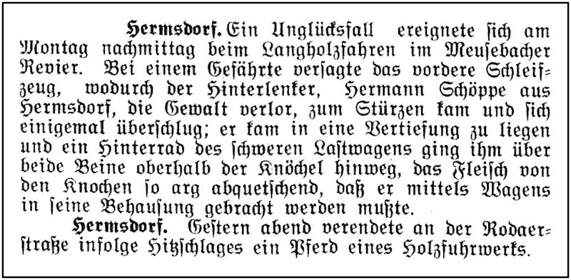 1905-07-08 Hdf Fuhwerksunfall - Pferd Hitzschlag